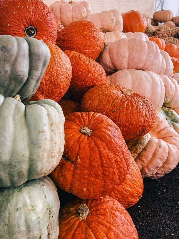 Pumpkins at Hershberger Farms in Ohio's Amish Country