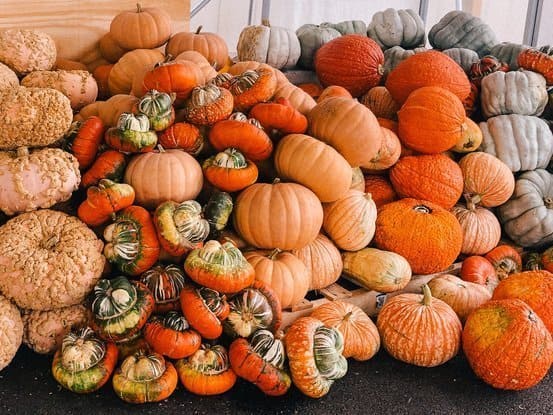 Hershberger Farms - Ohio's Amish Country