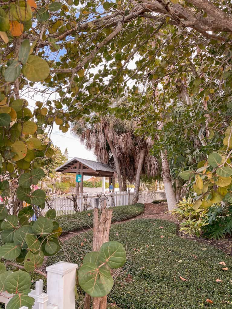 Brown open air trolley stop view through green trees and palm trees