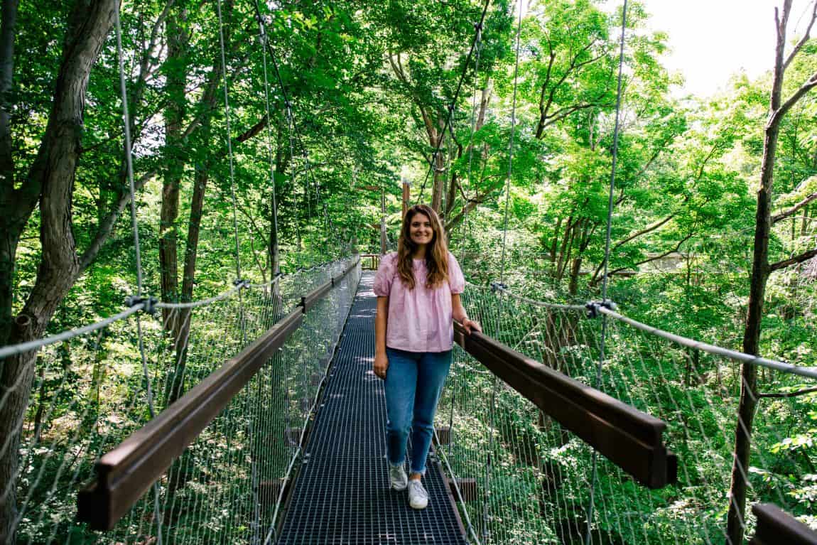 The Holden Arboretum Canopy Walk - Outdoor activities to do in Northeast Ohio