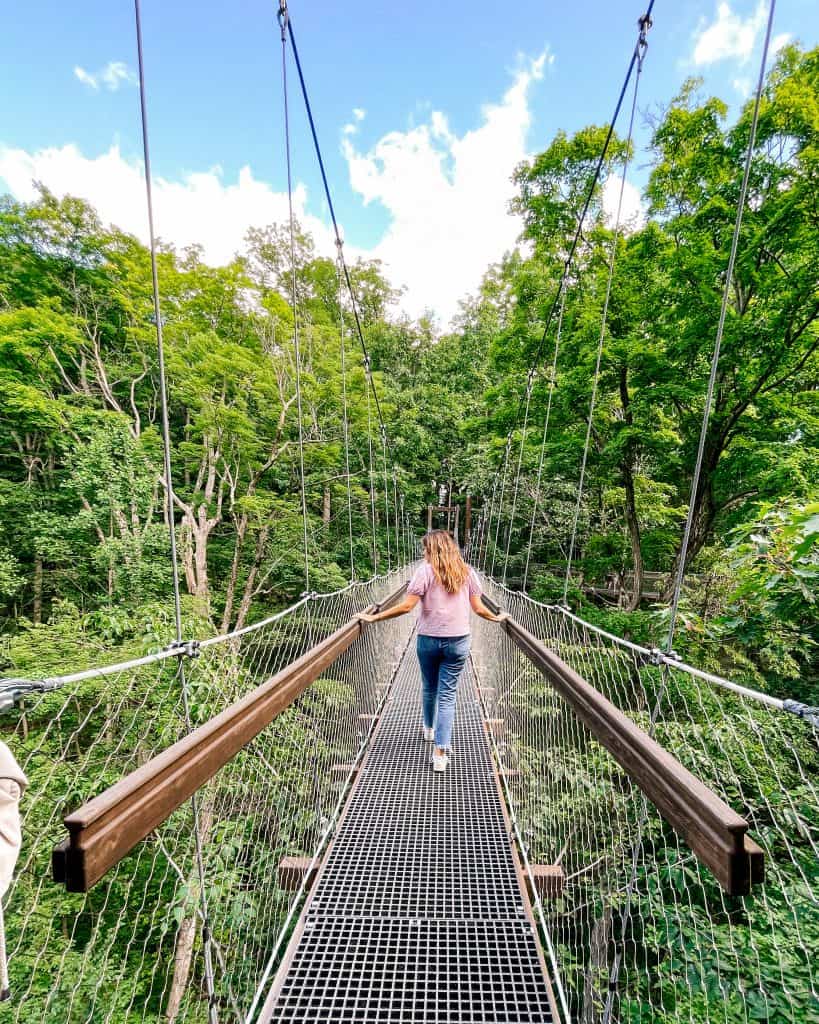 Walking the Murch Canopy Walk