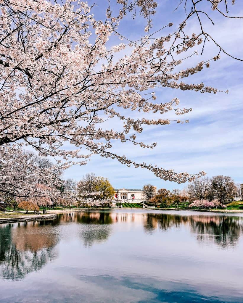Spring in Ohio - Wade Lagoon in bloom