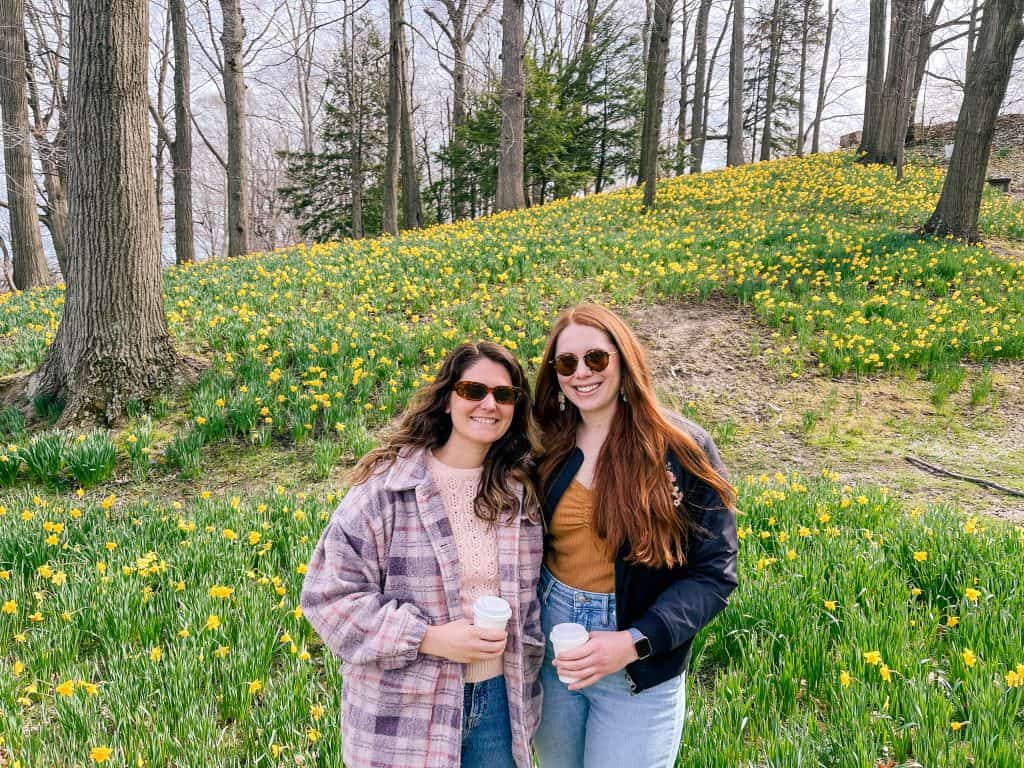 Spring in Ohio - Daffodil Hill in Bloom