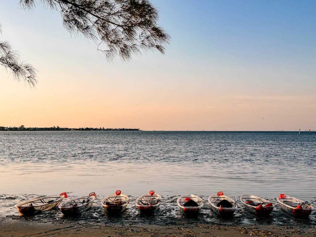 Anna Maria Island - Clear Kayak LED Night Glass Bottom Tour